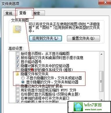 选择“显示隐藏的文件、文件夹和驱动器”