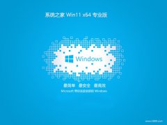 ϵͳ֮win11 64λv2025.05