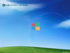 Թ˾⼤win11 64λ׼רҵv2024.05