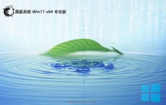 <font color='#CC0000'>ϵͳwin11칫64λv2025.05</font>