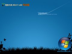 ľwin11ˬ64λv2025.05