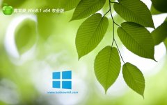 <font color='#0033CC'>ƻϵͳ⼤win8.1 64λЯv2025.05</font>
