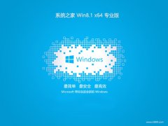 ϵͳ֮win8.1⼤64λǿЧv2024.05